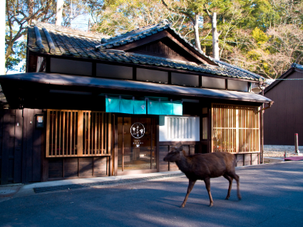 京都のホテル客室デザインを担当